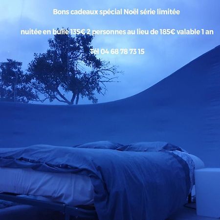 Relais De L'Alsou- Piscine Acomodação com café da manhã Labastide-en-Val Exterior foto
