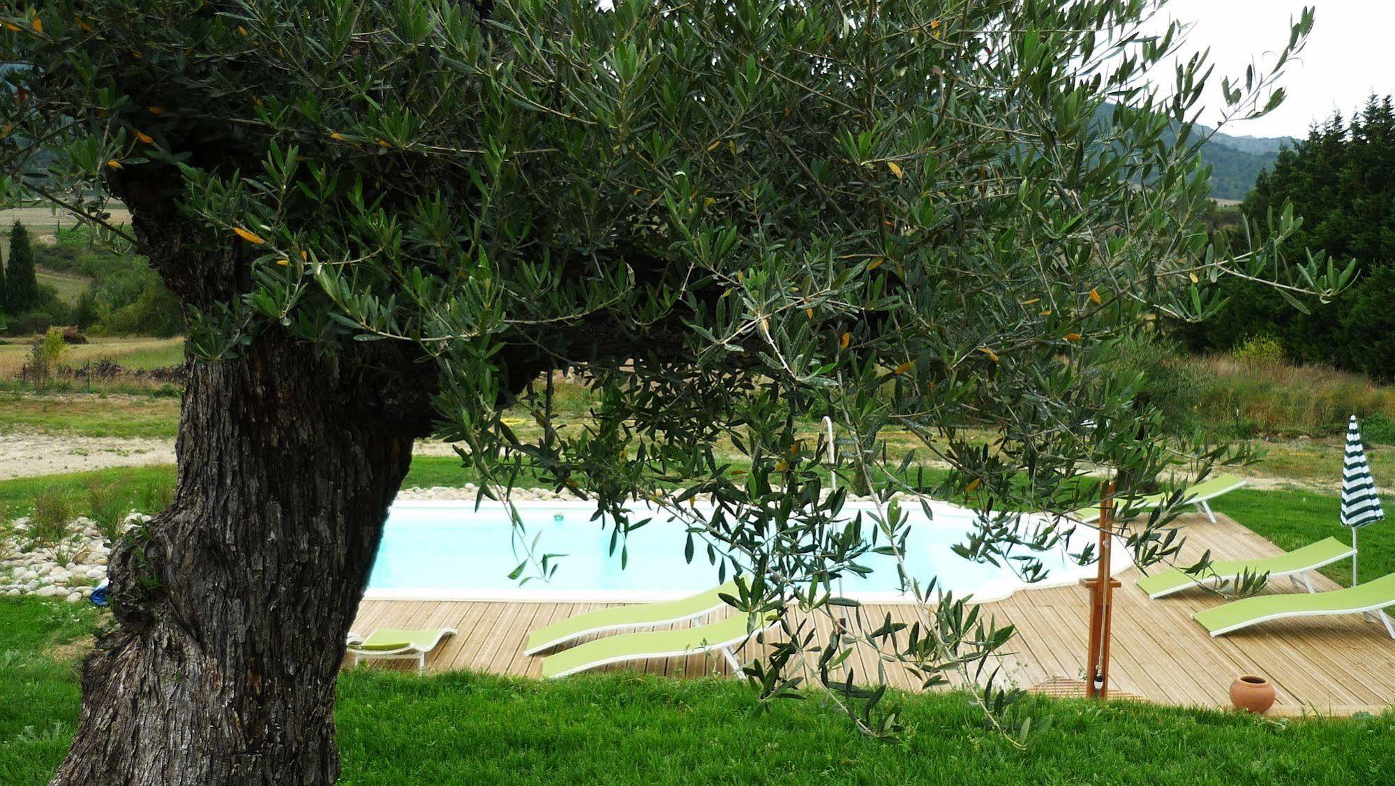Relais De L'Alsou- Piscine Acomodação com café da manhã Labastide-en-Val Exterior foto