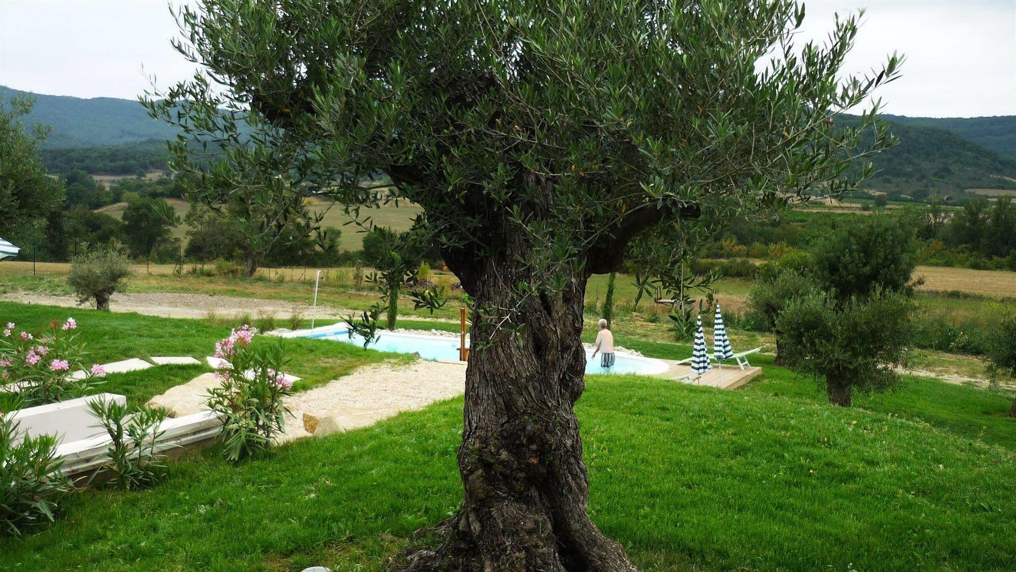 Relais De L'Alsou- Piscine Acomodação com café da manhã Labastide-en-Val Exterior foto