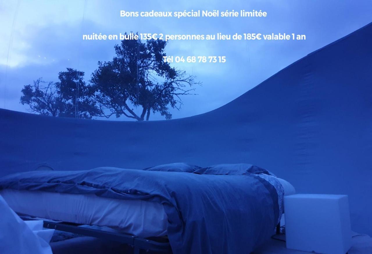 Relais De L'Alsou- Piscine Acomodação com café da manhã Labastide-en-Val Exterior foto